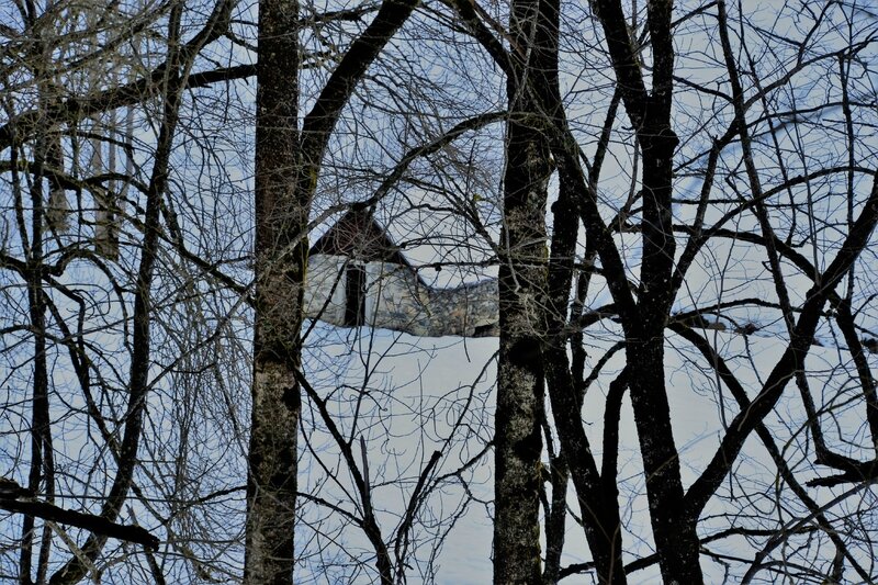 DSC_0100 (3)