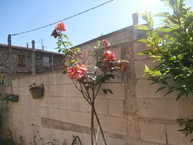 P4080027