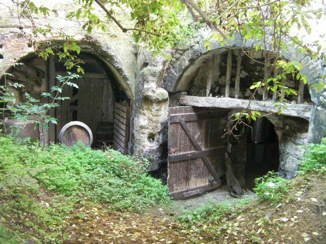 rencontre savennieres