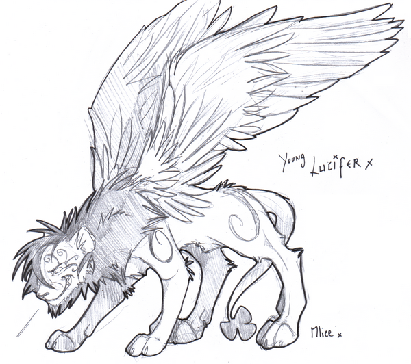 blog jeunes amateurs