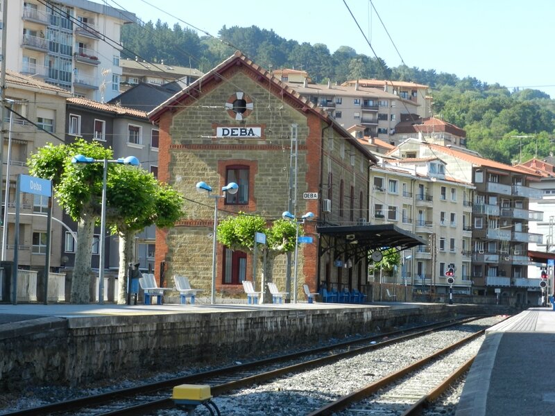 DSCN7806