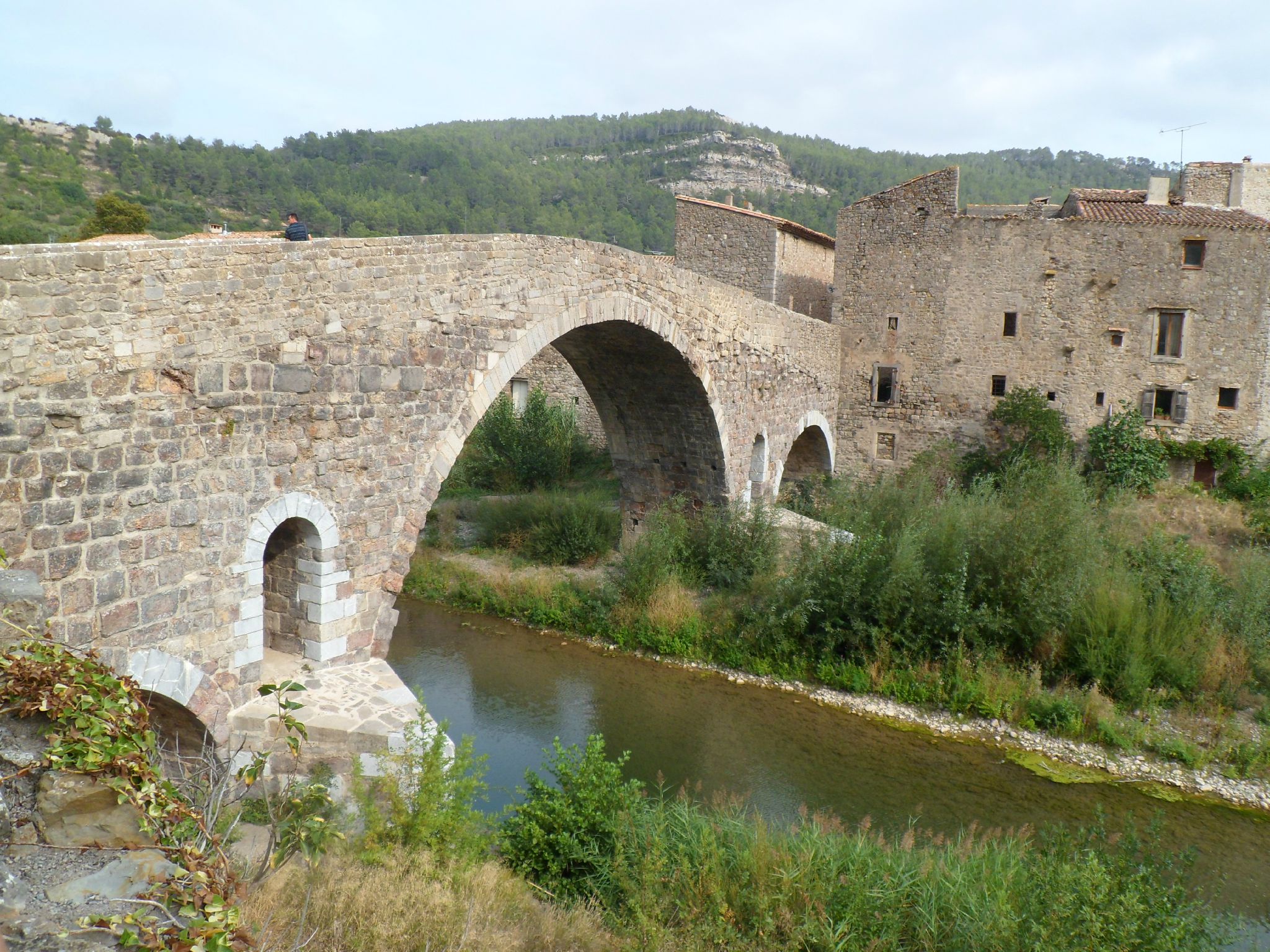 Lagrasse 048