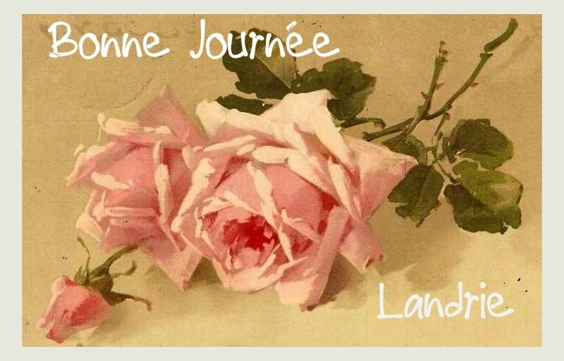 roseslandrie