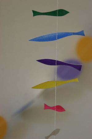 DSC05420