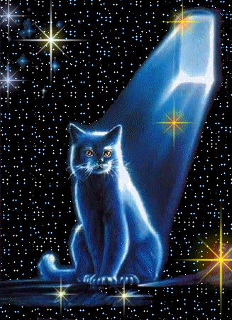 RÃ©sultat de recherche d'images pour "gif les bleus avec les chats"