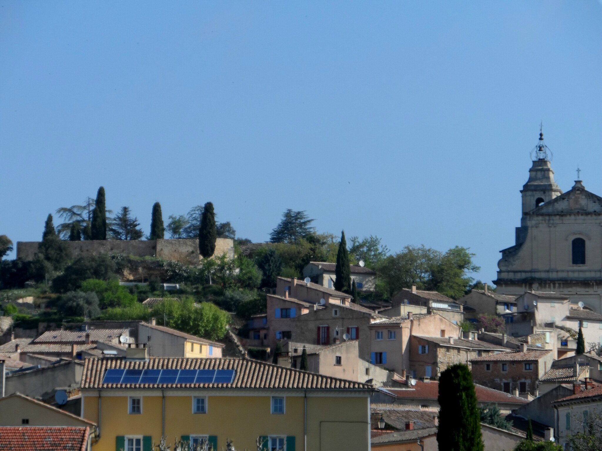 chat vaucluse