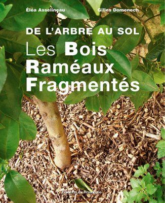 La permaculture renverse les dogmes de l'agronomie traditionnelle 35344386_p