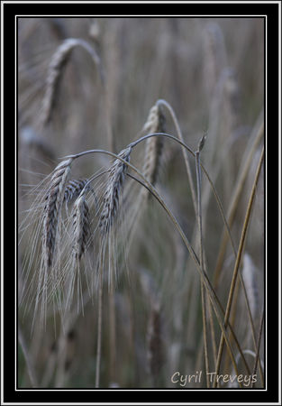 IMG_7876