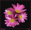 flor