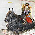 Taureau dans temple de Gupteshwar