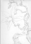 IMG3_0_1