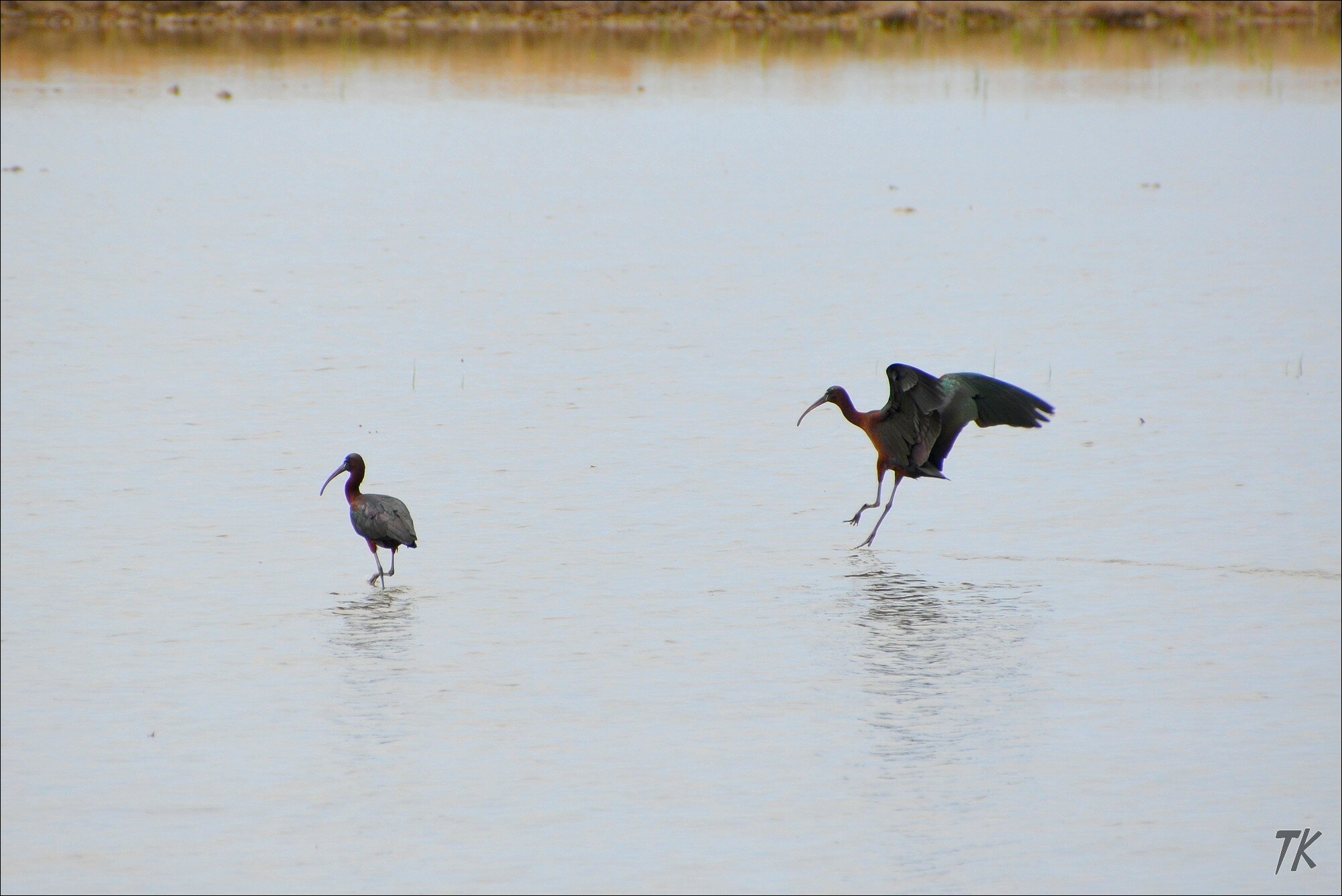 Rencontre andancette