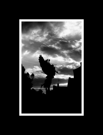 ange_pour_site