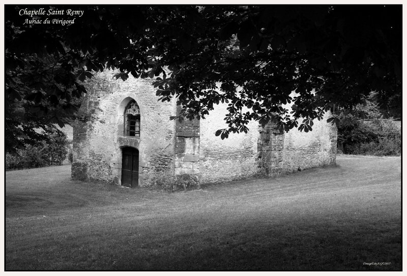 IMGP6455mm