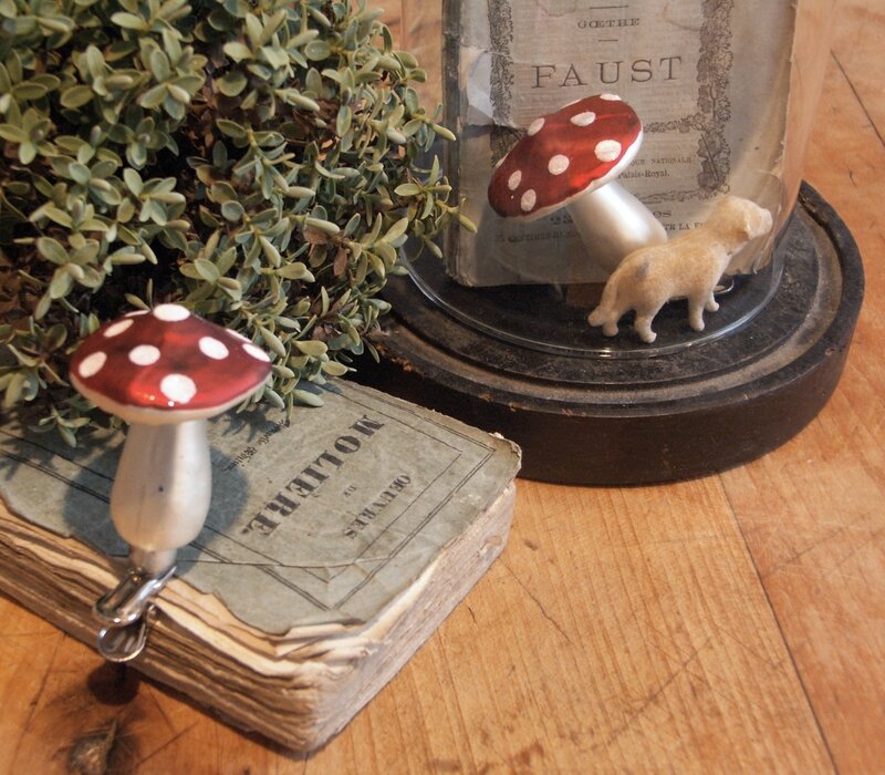2013-11 Champignons en verre