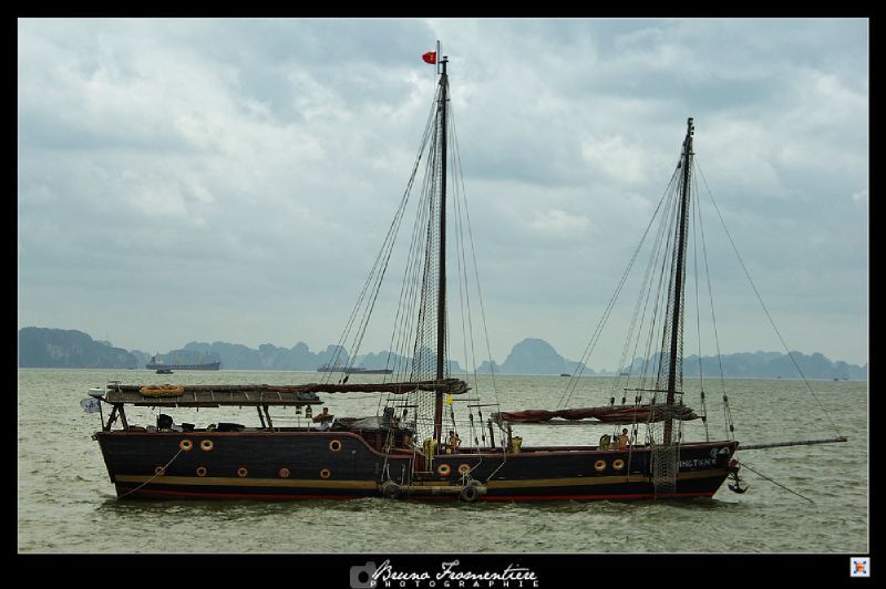 Halong 9