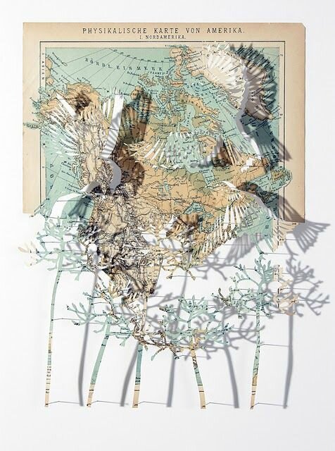 Claire Brewster 4