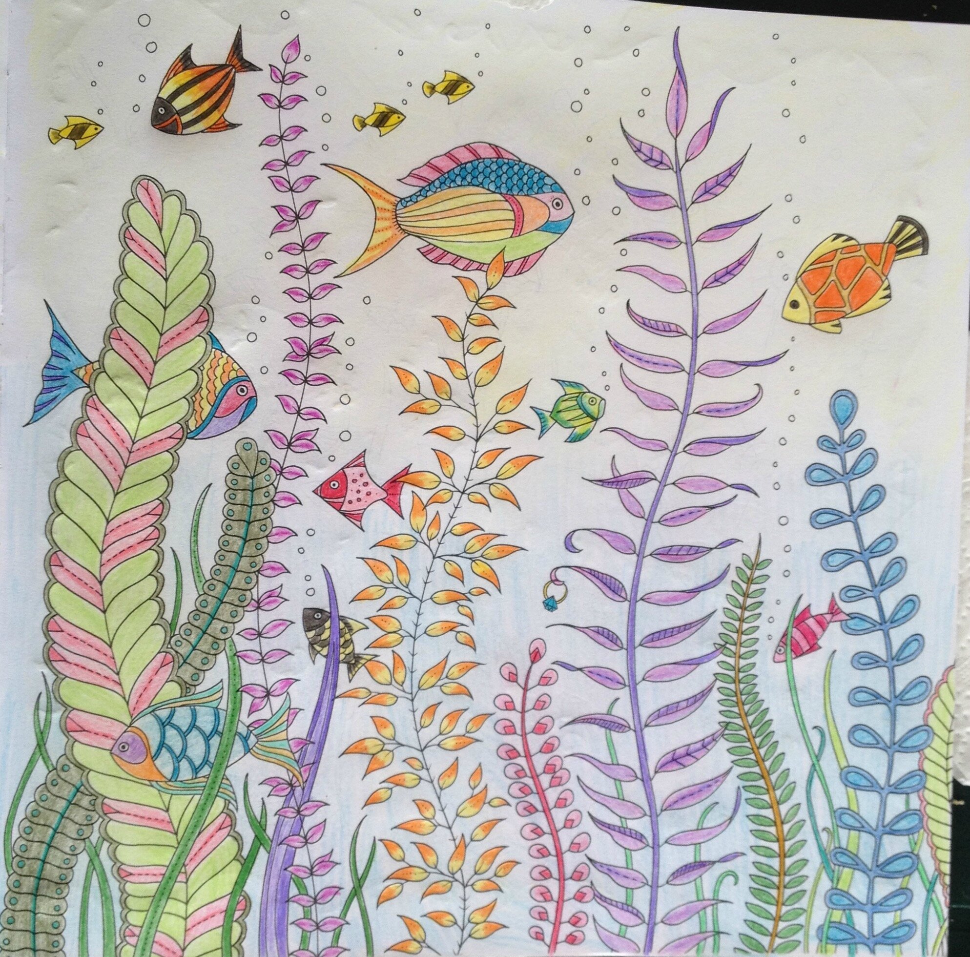 Coloriage 5 océan perdu Sous l océan Dans la bulle de julie Coloriage 5 océan perdu Sous l océan