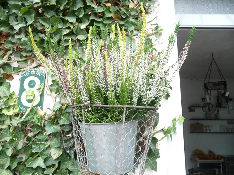 P1120253
