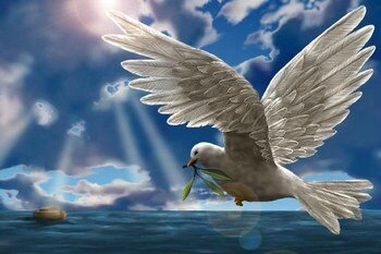 262923_931296943_colombe-olivier_H150126_L