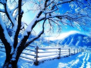 l_hiver