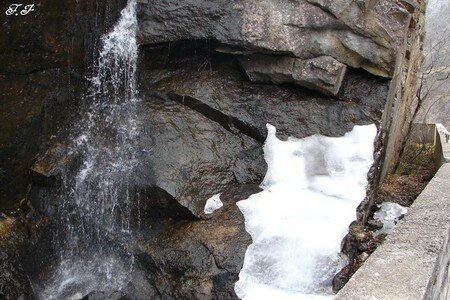 Photo_210