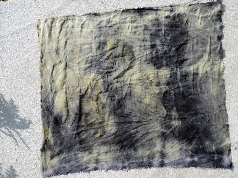 DSCN1336 (Copier)