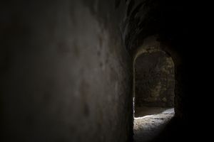 _DSC7845