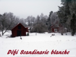 scandinavie_blanche
