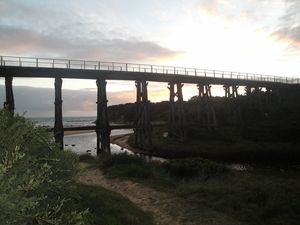 DSC06243