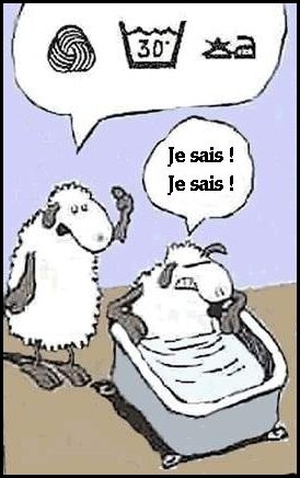 Moutons