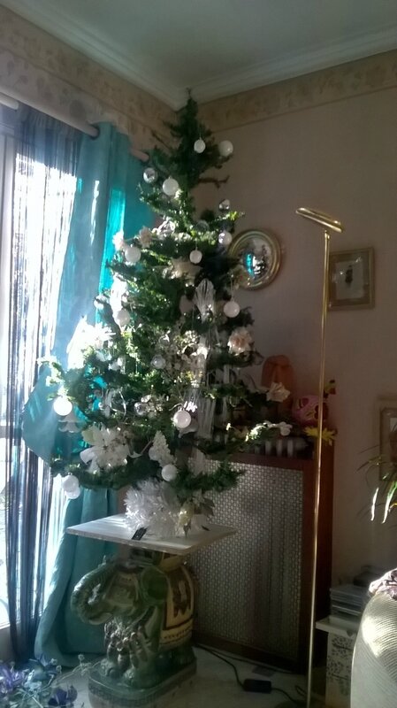 WP_20171222_10_07_13_Pro