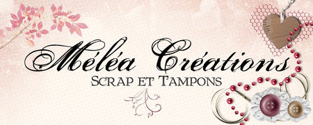 haz_mla_crations_1000x400