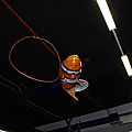 Poisson clown volant
