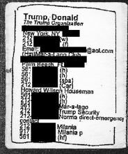 epstein trump