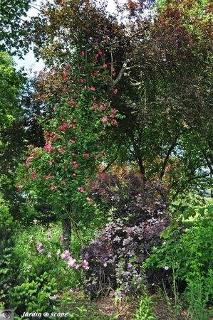 Jardins-de-la-Javelière-0023