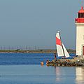 IMG_8709 - Copie