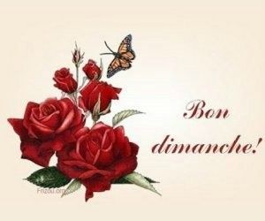 BON DIMANCHE