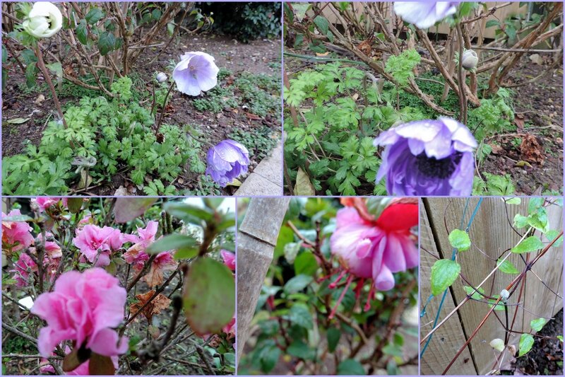 2016-02-2211