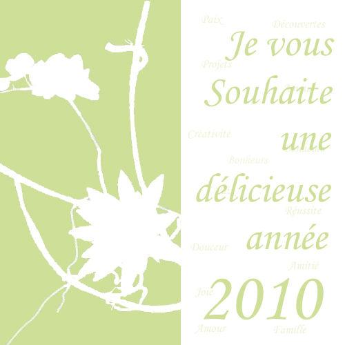 Carte_de_voeux_2010
