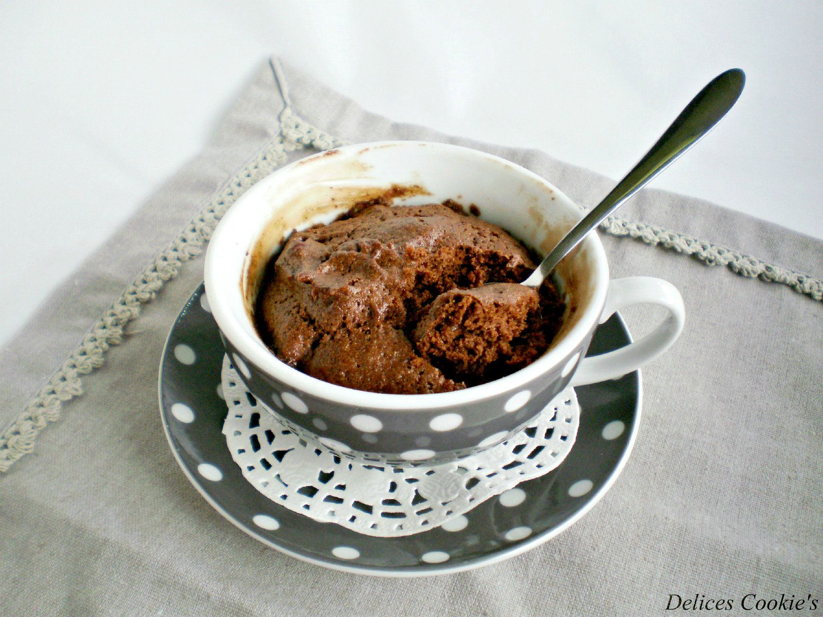 Chocolate Mug Cake Au 4 Epices Sans Oeufs Sans Beurre Delices Cookie S