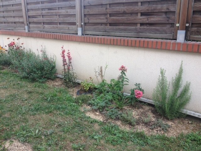 Jardin d'Eden