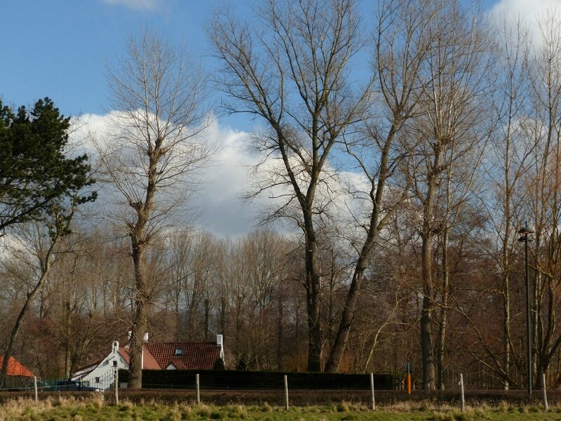 P1120881