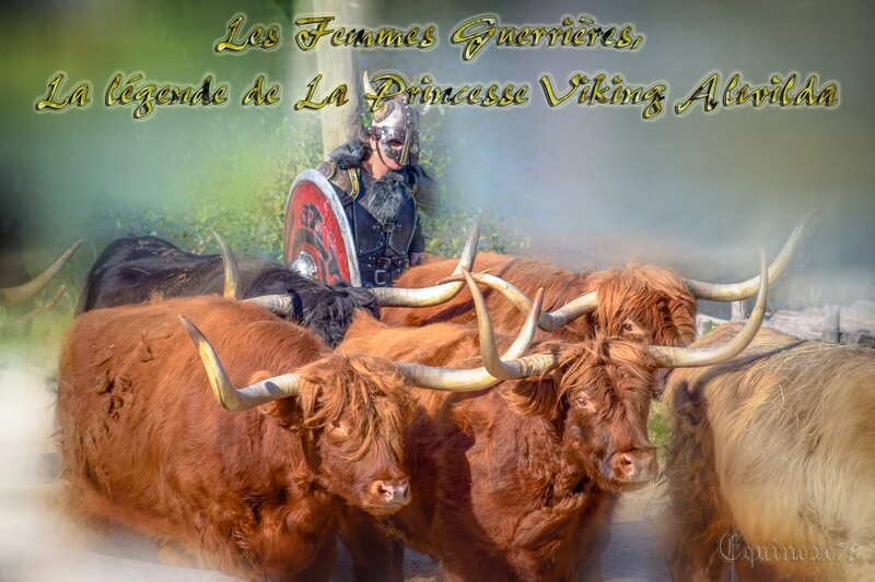 Les Femmes Guerrières, La légende de La princesse viking Alwilda