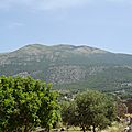 DSC04682