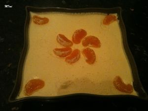 IMG_0566