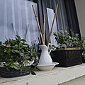 _DSC0025