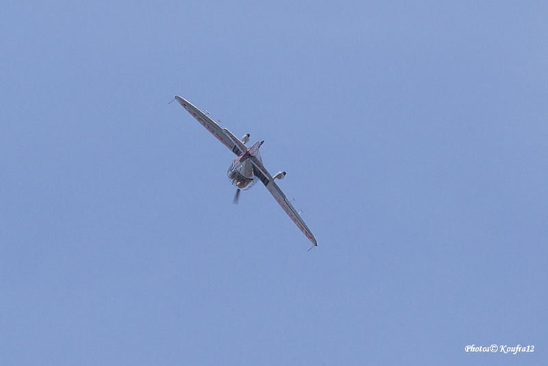Koufra12 2022-04-27_0978