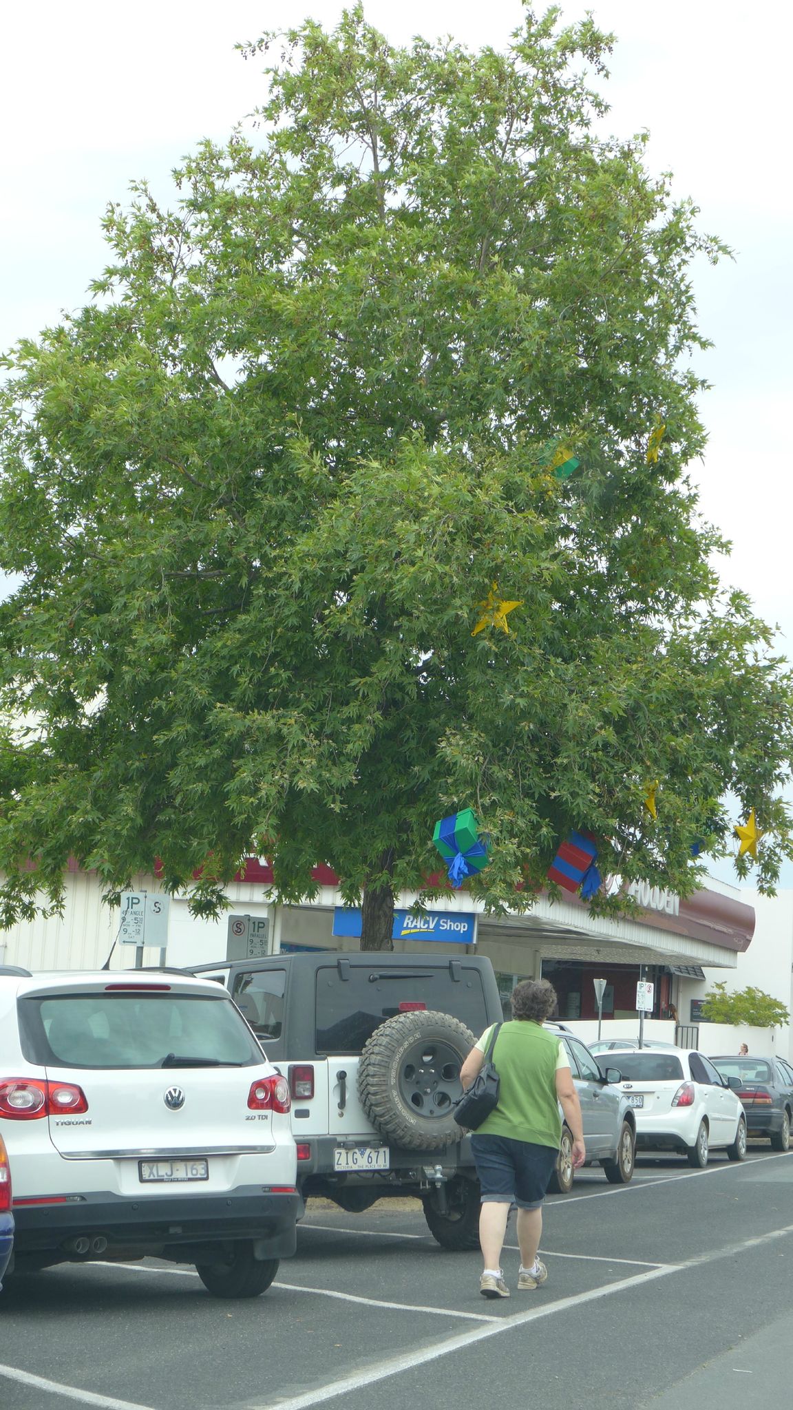 Merry Christmas - Joyeux Noel - Pierre et Steph en Australie Merry Christmas - Joyeux Noel - Pierre et Steph en Australie