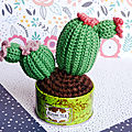 Petites plantes à crocheter - duo de cactus pour made in velanne